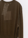 SWAYING 25 Spring/Summer Silk Wool Pullover SW-SW25SS1T18C2-LV Green SW-SW25SS1T18C1